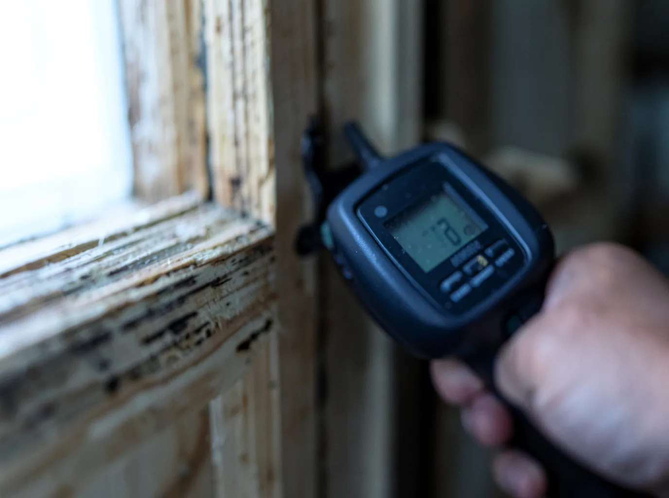 Moisture Inspection And Documentation in Gainesville, MO